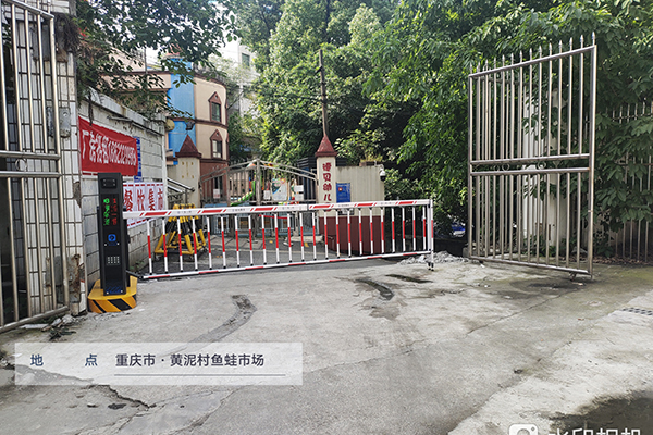 重庆车牌识别系统