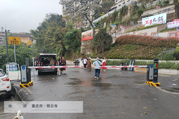 重庆车牌识别系统